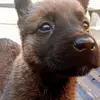 Fernando Topete - @fernando.topete2 - TikTok