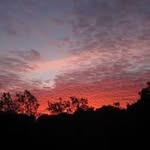 Fernando Torralba - @torralbagarciafernando - Instagram