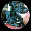 Fernando Toscano - @fernando.toscano06 - TikTok