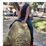 fernando rocha violante - @2002gr33 - Instagram