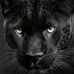 Fernando Violante - Facebook