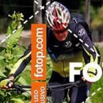 Fernando Violante - @violantefernando - Instagram