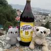 fernando vitela - @vitela247 - TikTok