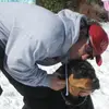 fernandovolonte0 - @fernandovolonte0 - TikTok