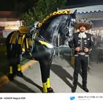 Fernando Zea - @ferchyzea - Instagram