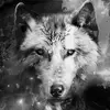 Fernando Zermeño - @fernando.zermeo4 - TikTok