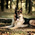 Fernando Zermeño - @fernando.zermeno.10485 - Instagram