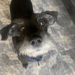 Juan Fernando Zermeño - @juan_z52 - Instagram