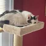 Fern Clark - @nico1anni2 - Instagram
