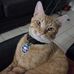 Ferny Martinez - Facebook