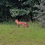 Ferrell Adkins - Facebook