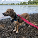 Ferris - @ferrisanderson - Instagram
