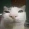 B - @ferris_buehler - TikTok