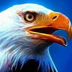 Fiaz Ahmed - Facebook