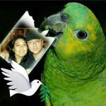 Fidel Alarcon - @fidel5168 - Instagram