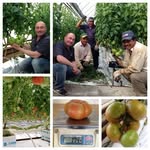 Fidel Aragon - @fidelaragon19666 - Instagram