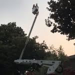 Fidel Astorga - @precisiontreeservicesocal - Instagram