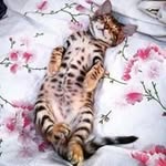 Fidel Avalos Gallegos - @fidelavalosgallegos - Instagram
