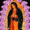 Fidel Aviles - @fidel.aviles5 - TikTok