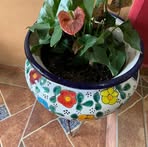 Fidel Barron - Facebook