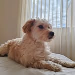 Fidel Borja - @beto.bor2000 - Instagram