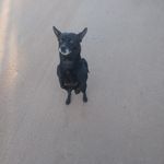 Fidel Camarillo - @camarillo.fidel - Instagram