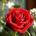 Fidel Carmona Lobo - Facebook