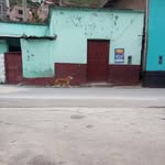 Fidel Carpio - @fidelcarpio9 - Instagram