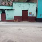 Fidel Carpio - Facebook