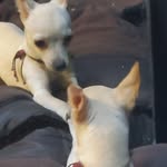 Fidel Casas - @fidelcasasochoa - Instagram