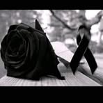 Fidel Cervera - Facebook