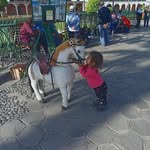 Fidel Conde Congachi - @fidelcondecongachi - Instagram