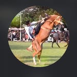 fidel cornejo - @fidelcornejo7 - Instagram