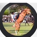 fidelcornejo7 - @fidelcornejo72 - Instagram