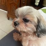 Fidel Corral III - @miguel.strawberry - Instagram