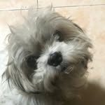 Fidel Corral III - @deldelfi1 - Instagram
