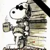Fidel Corrales - @fidel.corrales - TikTok
