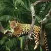 Fidel Huerta - @fidel.huerta - TikTok