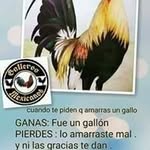 Fidel Infante - @infante.fidel - Instagram