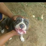 Fidel Isaac Sanchez Cruz - @fidelisaacsanchezcruz - Instagram