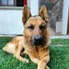 Fidel Islas832 - @fidel.islas - TikTok