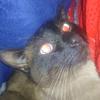 fidelislas686 - @fidelislas686 - TikTok