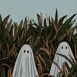 Fidel Jauregui - @jauregui.fidel - Instagram