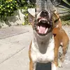 Fidel Jauregui - @fidel.jauregui1 - TikTok
