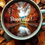 Fidel Juan Florido - @fidelflorido - Instagram