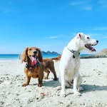 Fidel leon - @fidelleon211 - Instagram