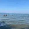 Fidel León - @fidel.len39 - TikTok