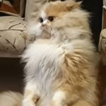 Fidel - @fid.ellove - Instagram