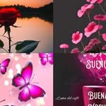 Fidel Melchor - @melchor_fidel - Instagram