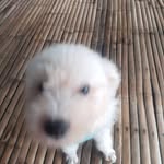 Fidel Pascual - @fidel198012 - Instagram